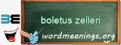 WordMeaning blackboard for boletus zelleri